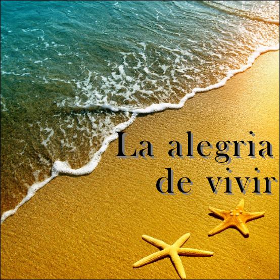 Imagen 6